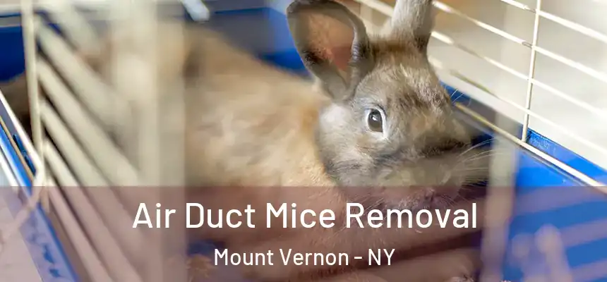  Air Duct Mice Removal Mount Vernon - NY