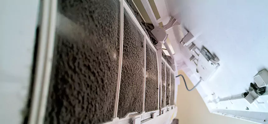 Preventive Air Duct Bacteria Removal in Mount Vernon