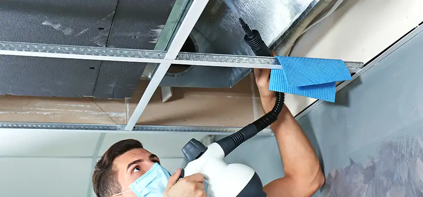 Our Air Duct Rodent Removal Services in Mount Vernon, NY