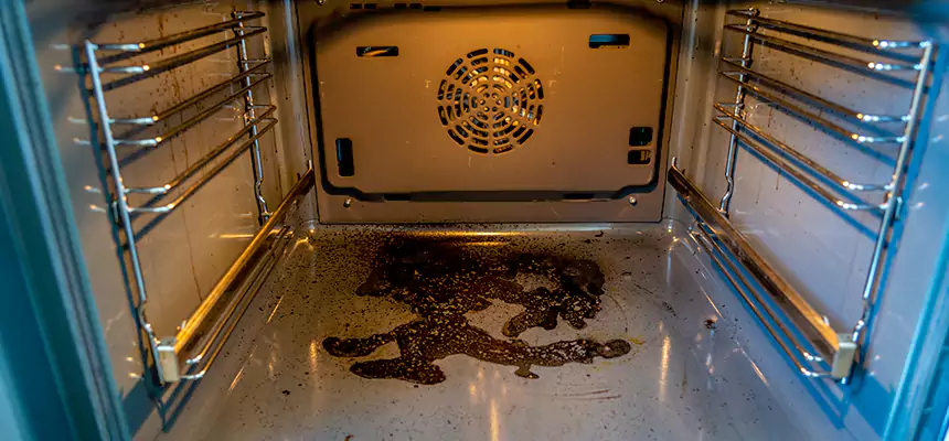 Our Dryer Vent Mold Cleaning Services in Mount Vernon, NY