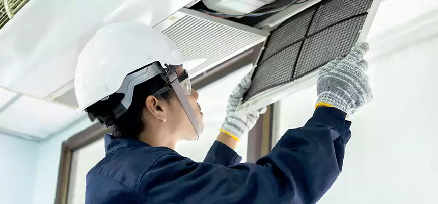 Our Mold & Mildew Removal from Air Ducts Services in Mount Vernon, NY