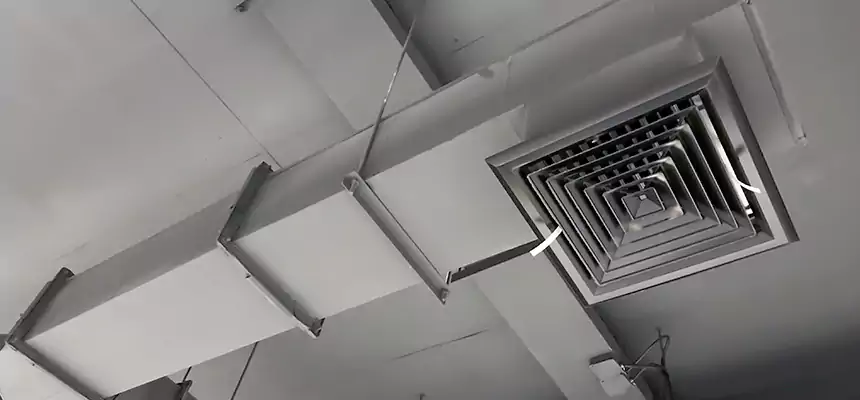 Our Rodent Droppings In Vents Services in Mount Vernon, NY