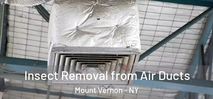  Insect Removal from Air Ducts Mount Vernon - NY