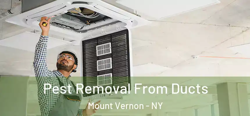  Pest Removal From Ducts Mount Vernon - NY