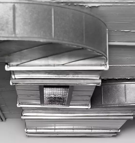 Professional Air Duct Pest Removal in Mount Vernon, NY