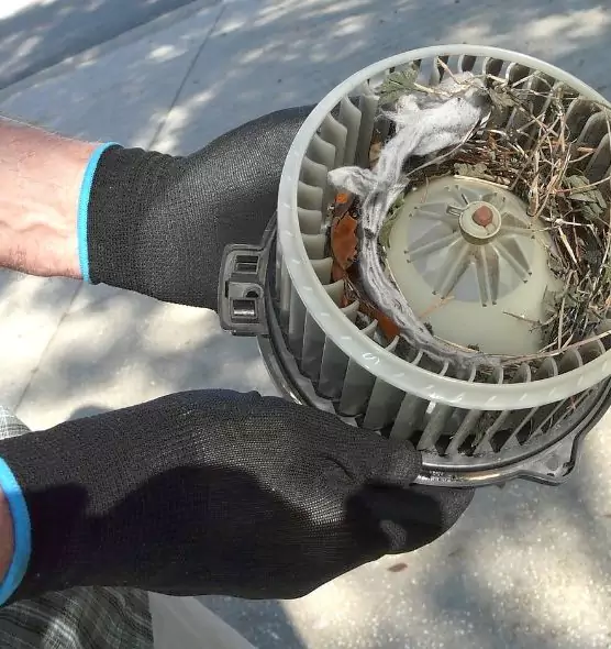 About Air Duct Rat Removal in Mount Vernon, NY