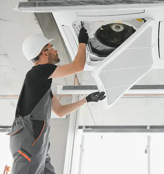 About Air Duct Rodent Removal in Mount Vernon, NY