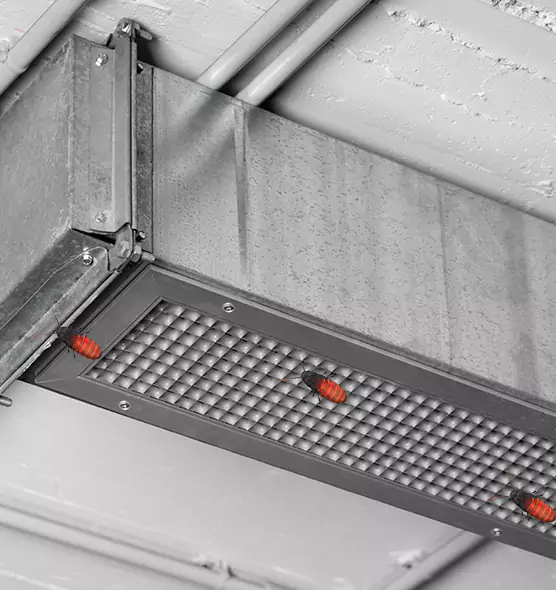 Affordable Insect Removal from Air Ducts in Mount Vernon, NY