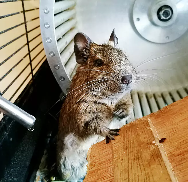 Why Homeowners & Businesses Trust Us Mount Vernon, NY?