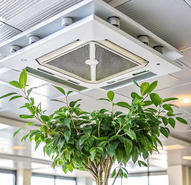 Why Homeowners & Businesses Trust Us in Mount Vernon, NY?